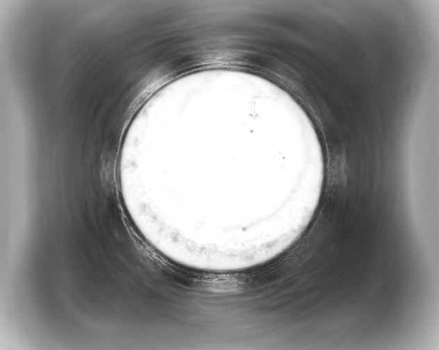 X0000103421338200810031323