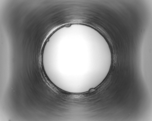 X0000103421340200810031323