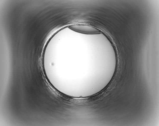 X0000103421344200810031323
