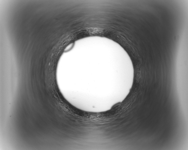 X0000103421345200810031322