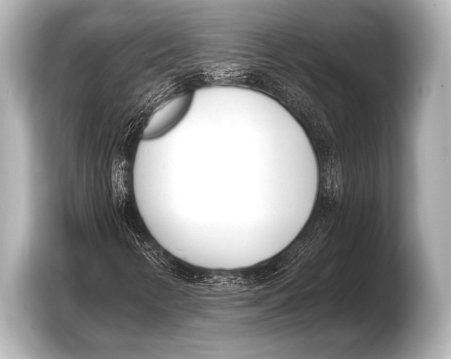 X0000103421346200810031322