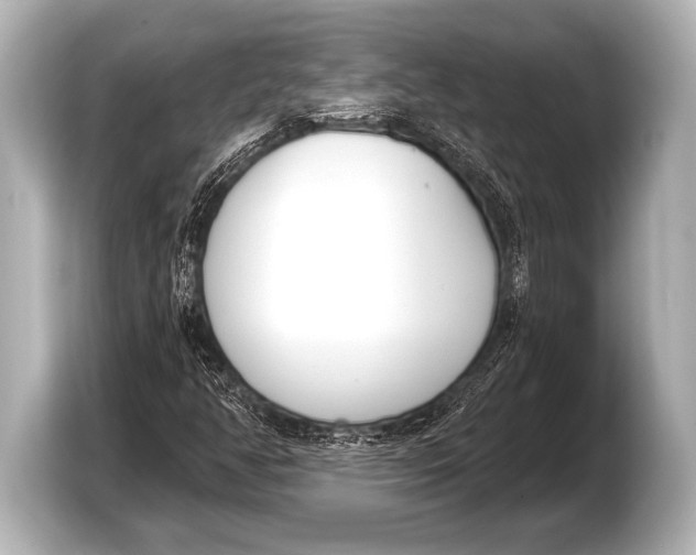 X0000103421350200810031322