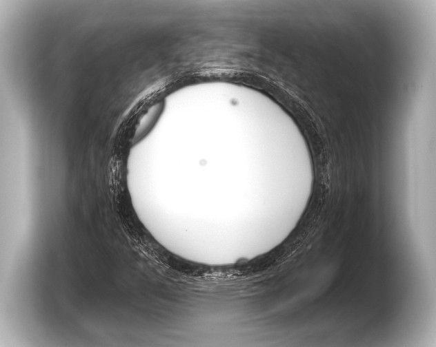 X0000103421351200810031322