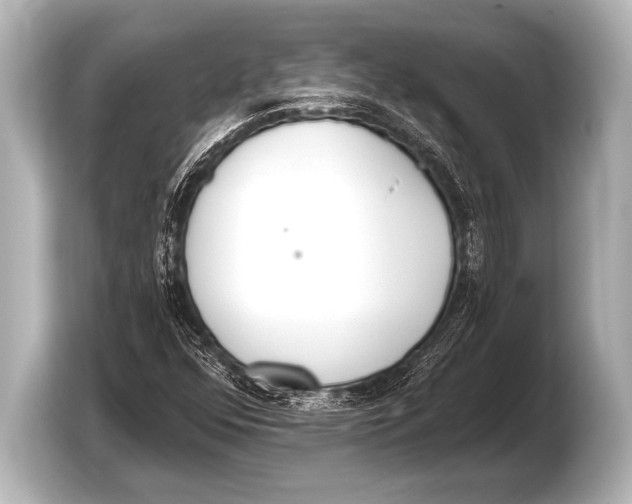 X0000103421352200810031322