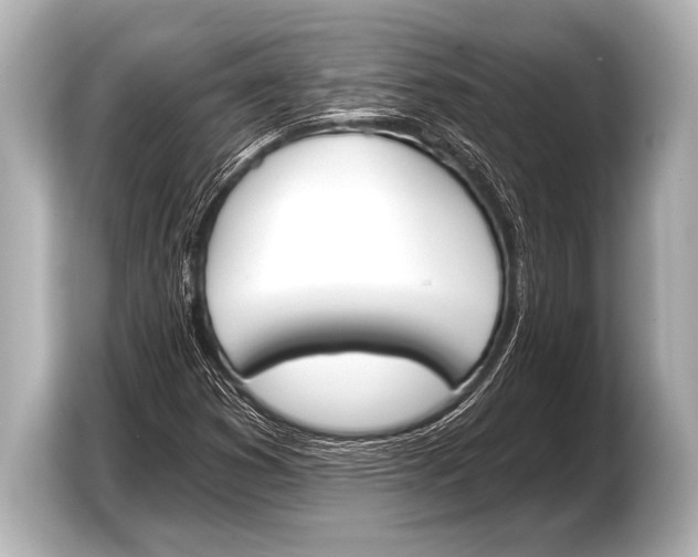 X0000103421353200810031322