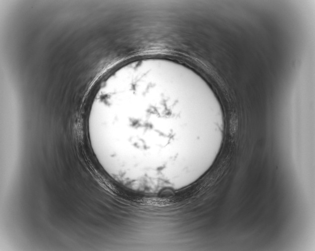 X0000103421356200810031322