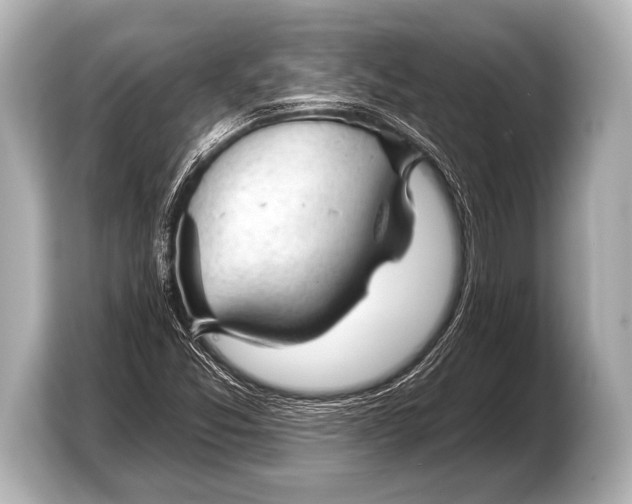 X0000103421357200810031322