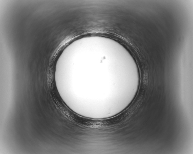 X0000103421359200810031322
