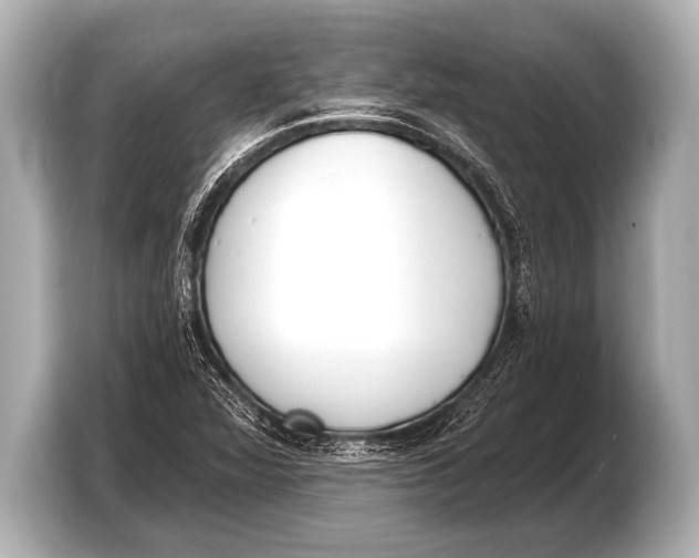 X0000103421360200810031322