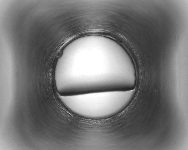 X0000103421361200810031322