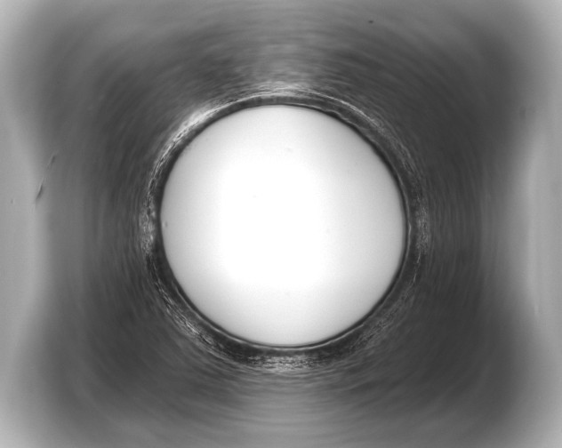 X0000103421363200810031322
