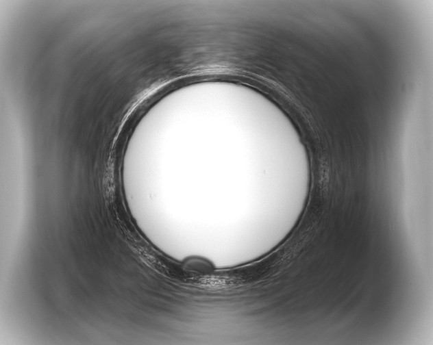 X0000103421364200810031322
