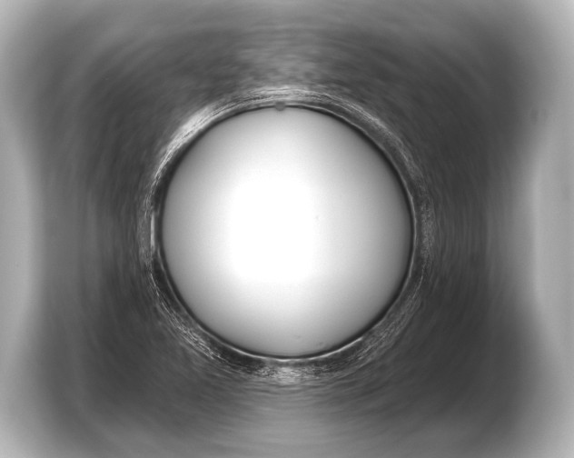 X0000103421365200810031322