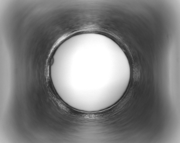 X0000103421366200810031322