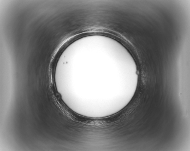 X0000103421368200810031322