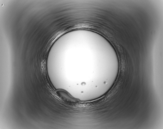 X0000103421369200810031322