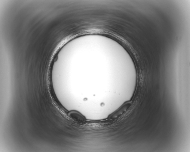 X0000103421373200810031322