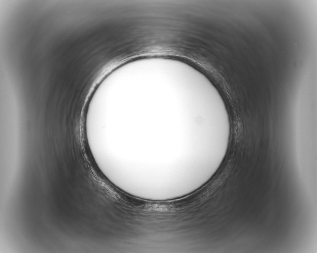 X0000103421374200810031322