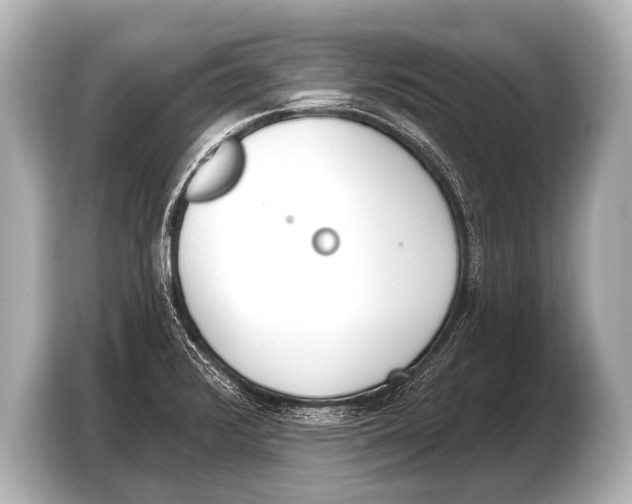 X0000103421376200810031322