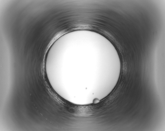 X0000103421378200810031322