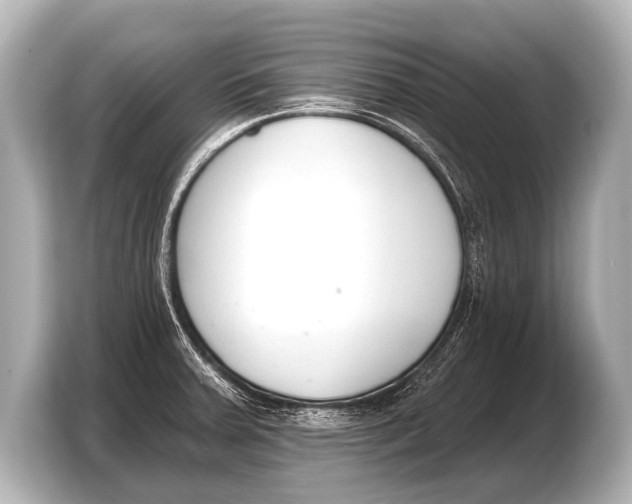 X0000103421379200810031322