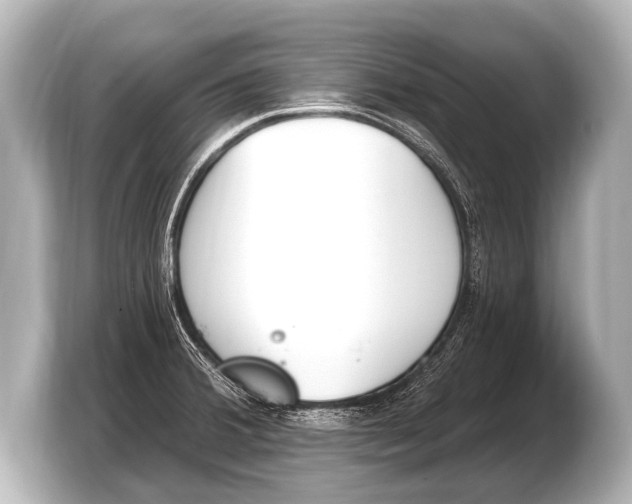 X0000103421380200810031322