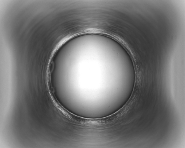 X0000103421381200810031322