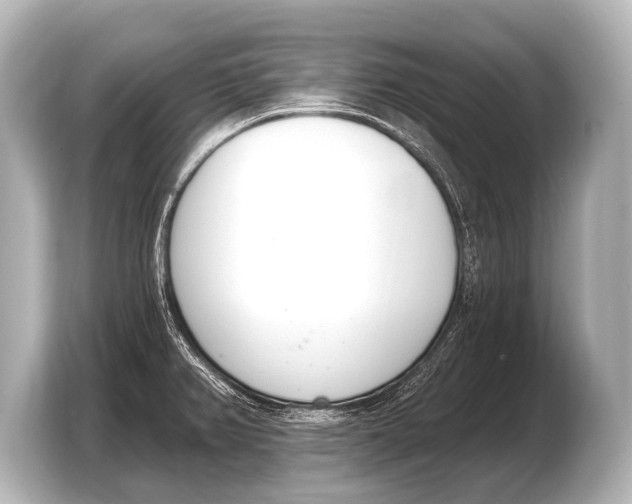 X0000103421382200810031322