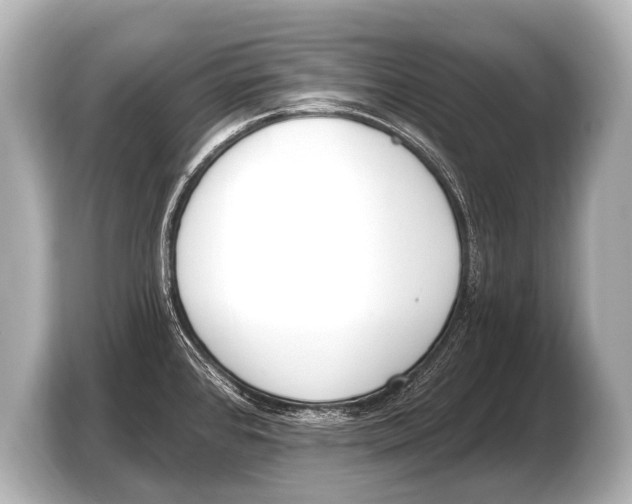 X0000103421384200810031322
