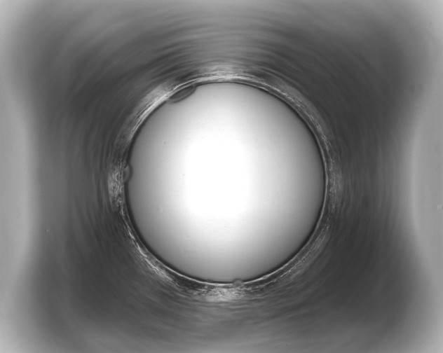 X0000103421385200810031322