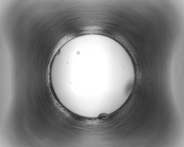 X0000103421386200810031322
