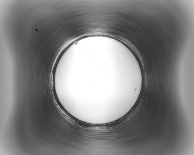 X0000103421388200810031322