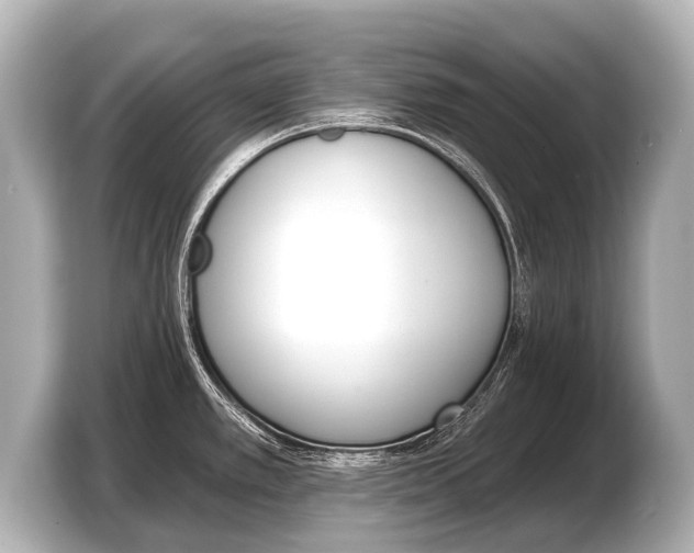 X0000103421389200810031322