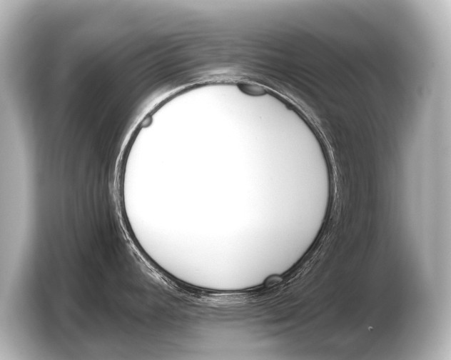 X0000103421392200810031322