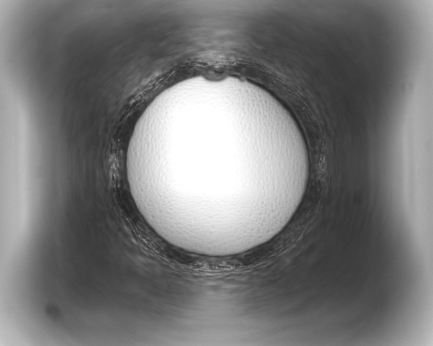 X0000103421397200810031321