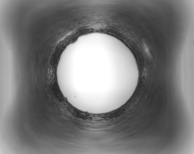 X0000103421398200810031321