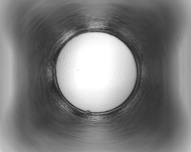 X0000103421401200810031321