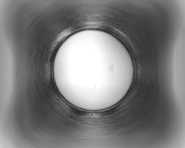 X0000103421411200810031321