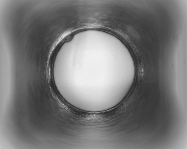 X0000103421414200810031321