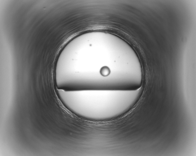 X0000103421417200810031321