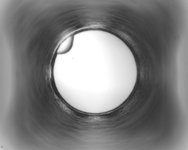 X0000103421420200810031322