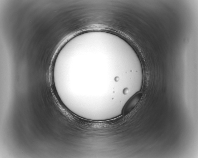 X0000103421421200810031322