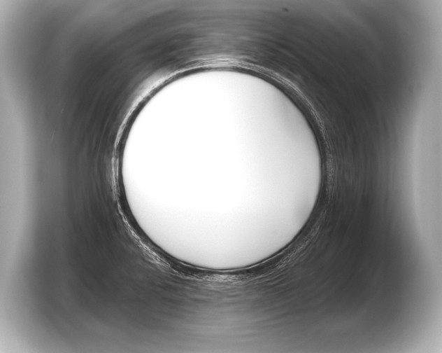 X0000103421424200810031322