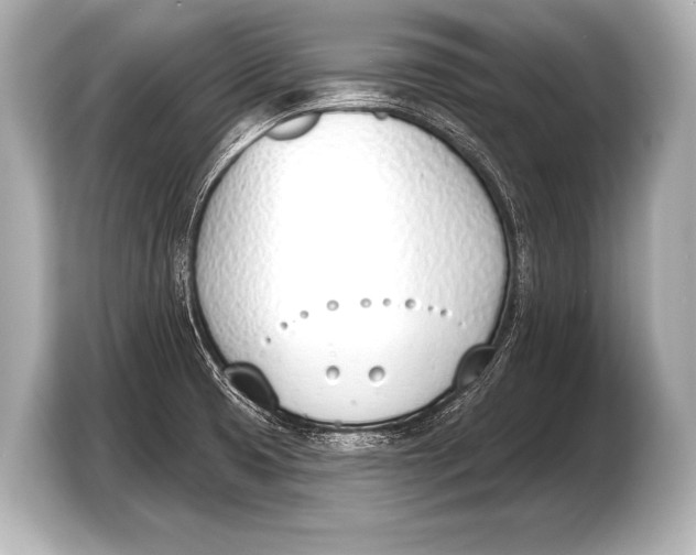 X0000103421425200810031322