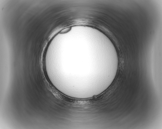 X0000103421427200810031322