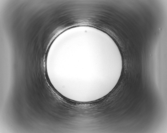 X0000103421428200810031322