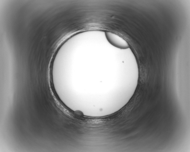 X0000103421431200810031322