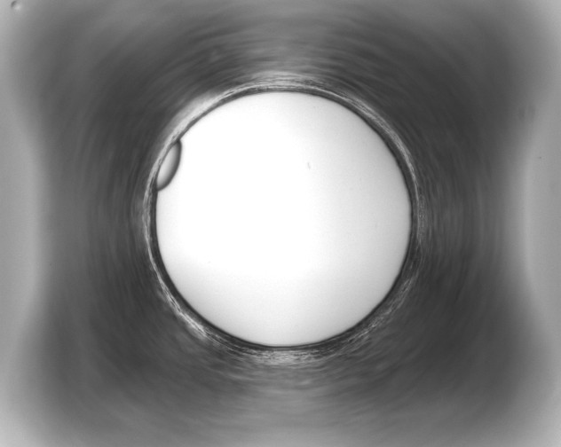 X0000103421437200810031322