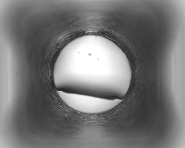 X0000103421445200810031321