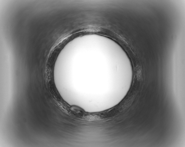 X0000103421448200810031321